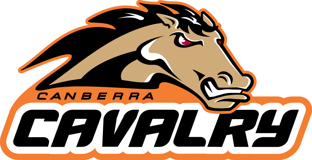 Canberra Cavalry 2010-Pres Primary Logo iron on transfers for clothing